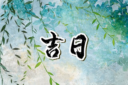 今日宜忌如何理解